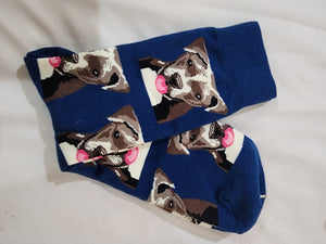 Colourful socks - lucky dog Tantilly 